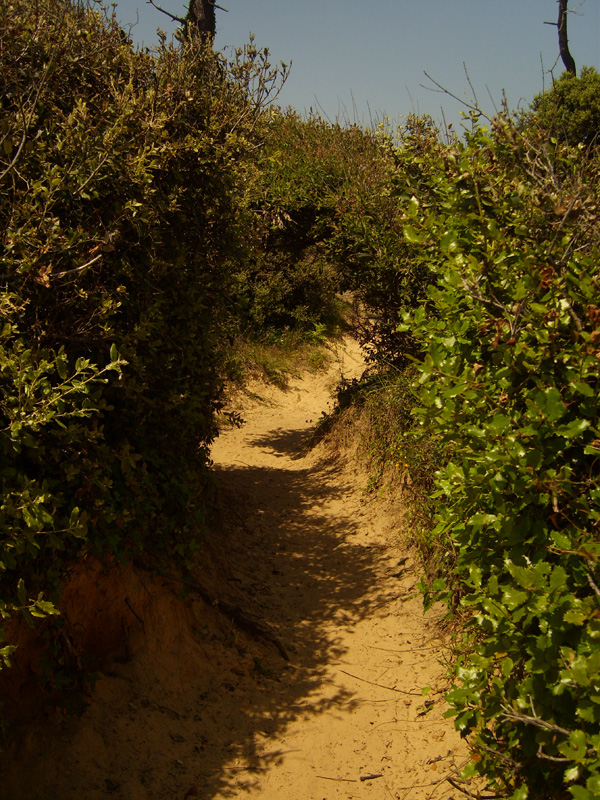 paseo de la costa de noja
