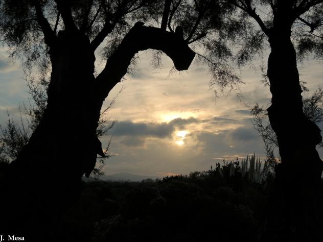 Atardecer en Noja, Punta de la Mesa