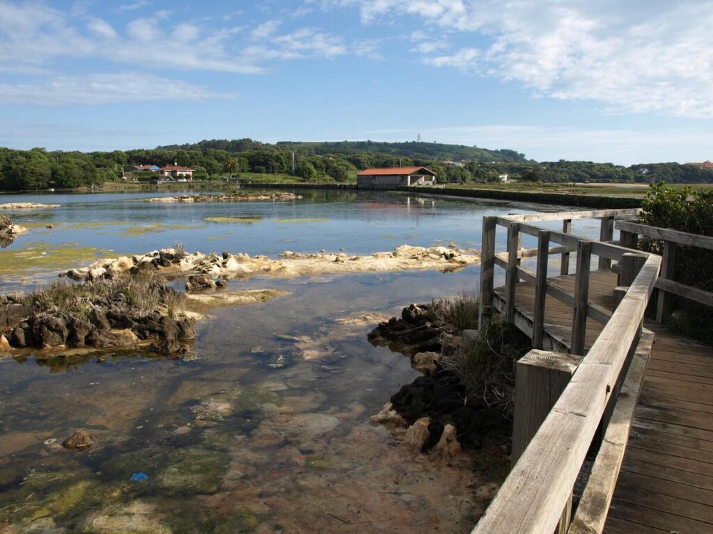 marisma-joyel paseo al molino de la marisma del joyel