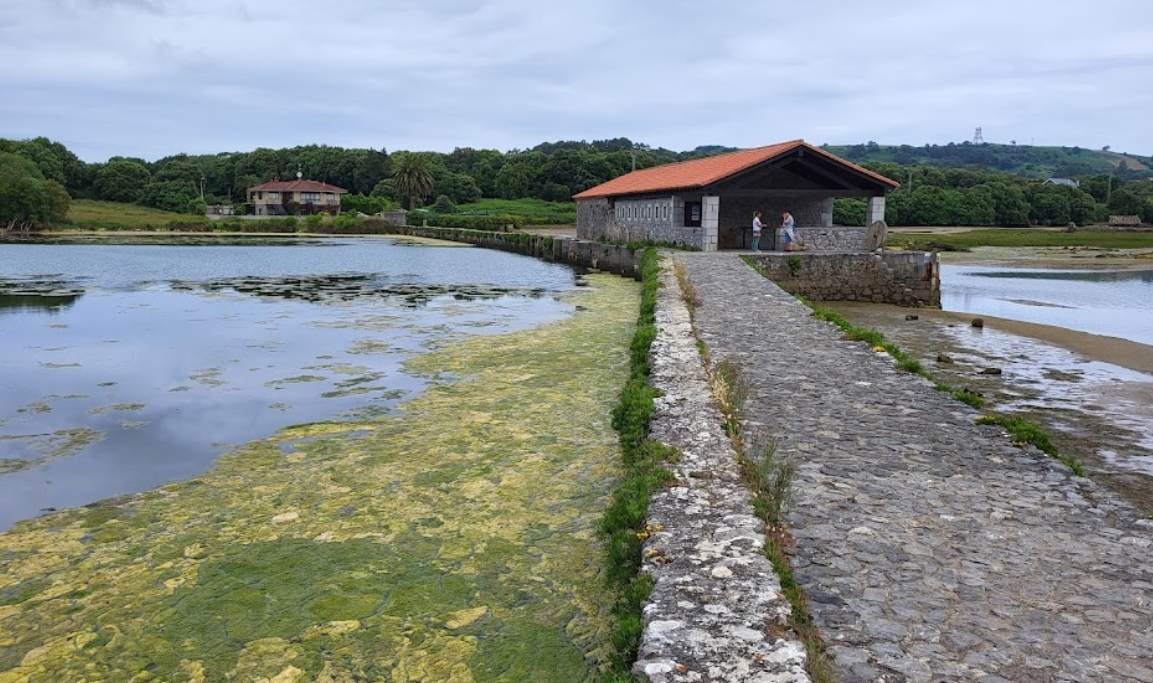 molino olaja marismas noja